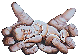 klik voor de foto op originele grootte