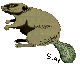 klik voor de foto op originele grootte