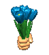 klik voor de foto op originele grootte