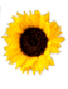 klik voor de foto op originele grootte