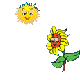klik voor de foto op originele grootte