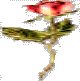 klik voor de foto op originele grootte