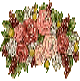 klik voor de foto op originele grootte