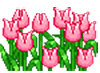 klik voor de foto op originele grootte