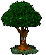klik voor de foto op originele grootte