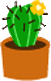 klik voor de foto op originele grootte