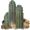 klik voor de foto op originele grootte