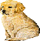 klik voor de foto op originele grootte