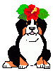 klik voor de foto op originele grootte