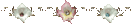 klik voor de foto op originele grootte