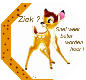 klik voor de foto op originele grootte