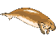 klik voor de foto op originele grootte